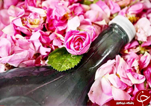 از به دام افتادن افعی شاخدار تا زمین خواری میلیاردی