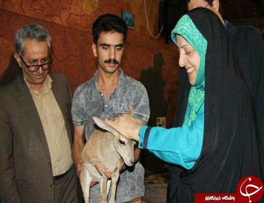 خبرهایی جالب به روایت تصویر
