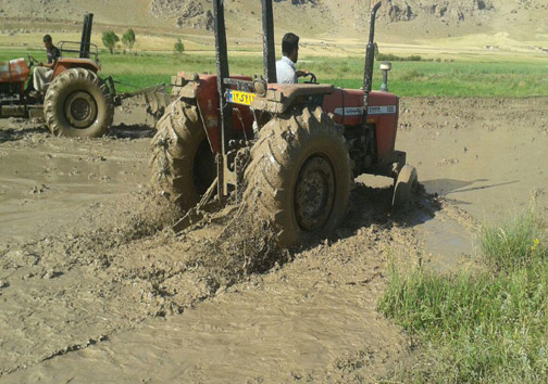 تصاویر آماده سازی زمین برای کشت برنج در بیرانشهر لرستان