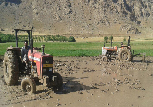تصاویر آماده سازی زمین برای کشت برنج در بیرانشهر لرستان