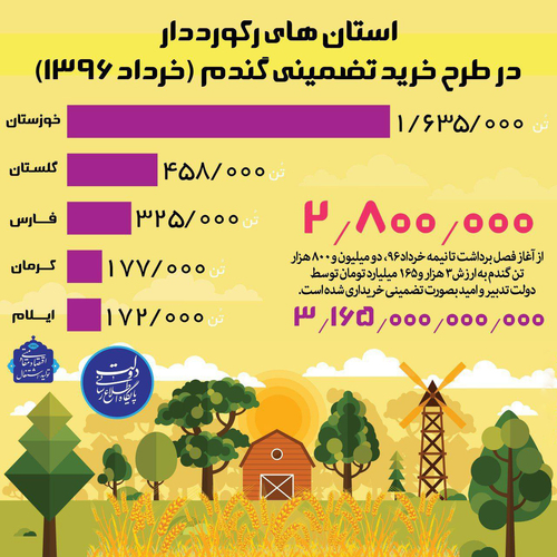 خرید ۴۵۸ هزار تن گندم در گلستان