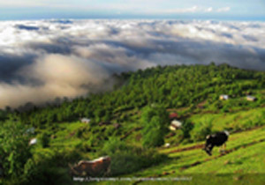 آسمان مازندران صاف تا قسمتی ابری ۱۳۹۶/۰۳/۱۹