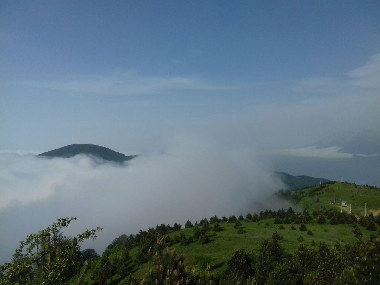 طبیعت زیبای سلان&zwnj;سر در قاب دوربین + فیلم