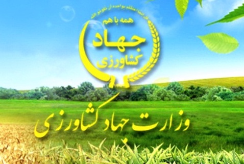 دستورالعمل جدید برای حذف قاچاق 162 کالای کشاورزی از ابتدای تیرماه