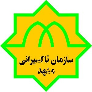 شرکت تپسی در مشهد پلمب شد