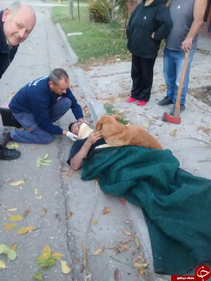 وفاداری عجیب این سگ سوژه رسانه ها شد + تصاویر
