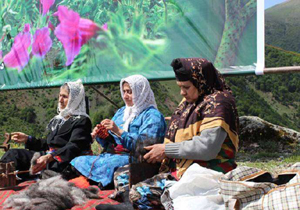 برگزاری چهارمین جشنواره ملی گل گاوزبان