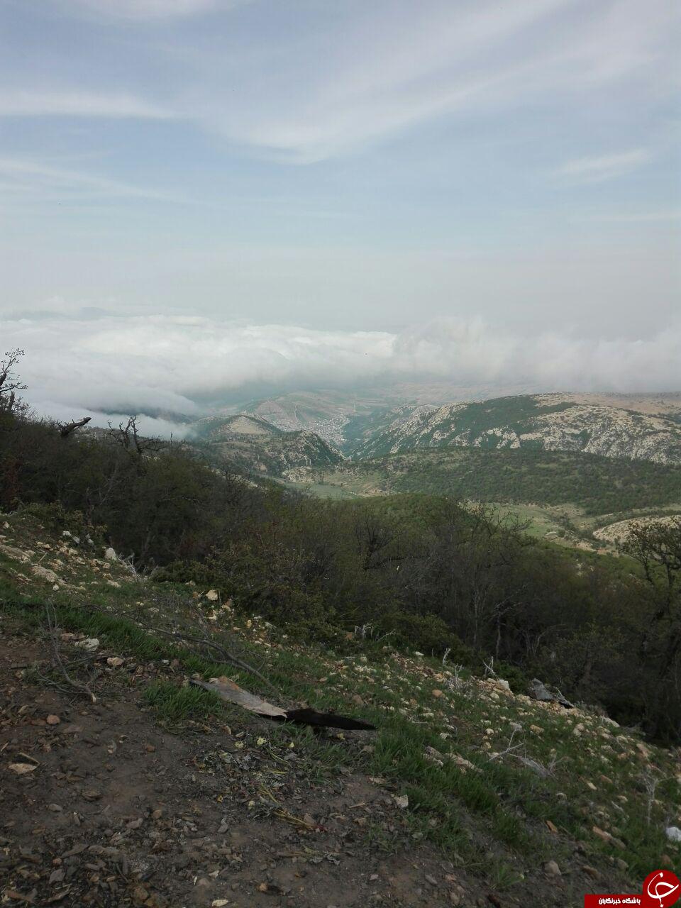 مناظر دیدنی از طبیعت منطقه نیک + تصاویر