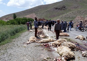 پربازدید