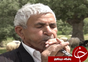 از دانسته های جدید درباره ملاصدرا تا سازی بادی با نوایی دلنشین