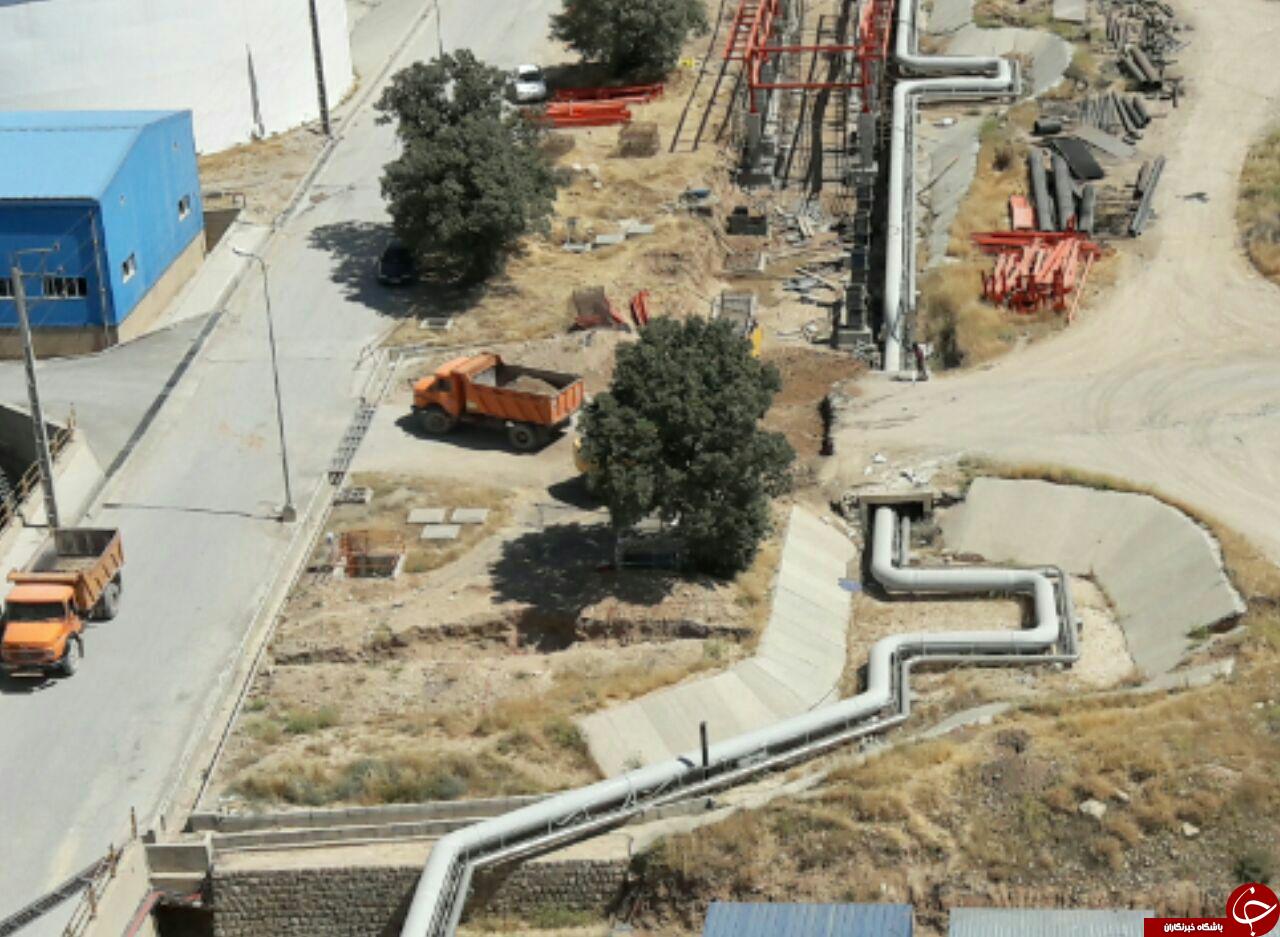 نابودی درخت بلوط قدیمی توسط بلدوزر + فیلم