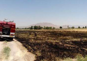 آتش سوزی در 2 هزار متر مربع مزارع کشاورزی مبارکه