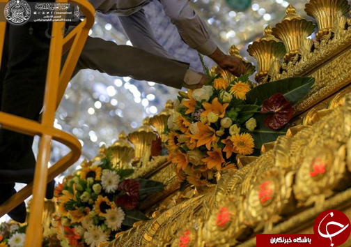 عکس/ گل&zwnj;آرایی حرم علوی در روز ولادت امام حسن(ع)