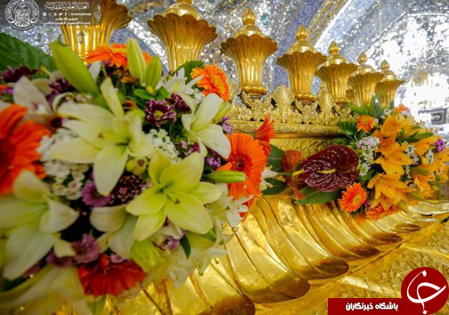 عکس/ گل&zwnj;آرایی حرم علوی در روز ولادت امام حسن(ع)