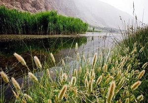 پیشرفت 90 درصدی سایت پرنده نگری هشیلان