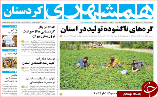 از بوئینگ های آمریکایی در آسمان ایران تا فرصت های تجاری در بحران قطری