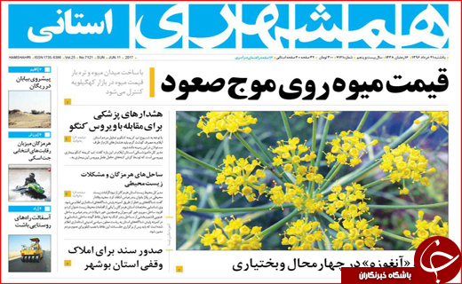از بوئینگ های آمریکایی در آسمان ایران تا فرصت های تجاری در بحران قطری
