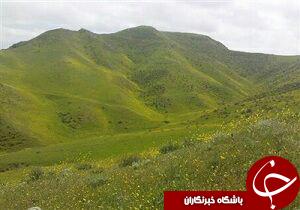 نمایی از طبیعت زیبا و بهاری در چالابه + تصاویر