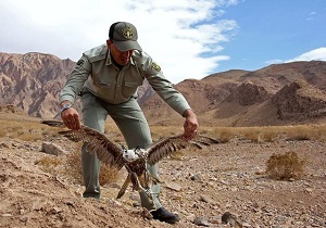 ر‌هاسازی شاه بوف در آسمان گندمان