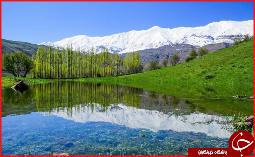 طبیعت زیبا و بکر کوهستان گرین نهاوند + تصاویر