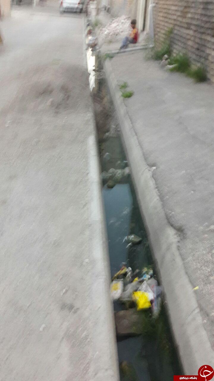 انباشت زباله در معابر ماکو + تصاویر