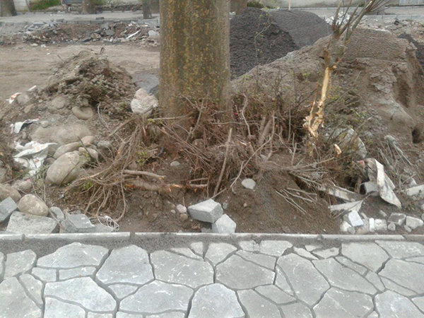 کشف سلاح&zwnj;های ویژه از همدستان تروریست&zwnj;های کشته شده در تهران/ اسلحه های تروریست ها و ماموران امنیت در حادثه تروریستی مجلس و حرم امام(ره) چه بود؟