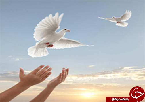 بسته خبری پربازدیدهای فارس