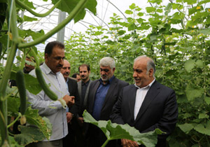 نحوه تحویل واحدهای گلخانه دیناروند، مصداق چوب لای چرخ گذاشتن توسعه در لرستان