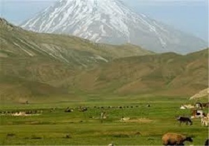 تشکیل تعاونی فراگیر منابع طبیعی در شهرستان دیواندره