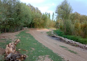 ثبت ملی"فش" به عنوان روستای ساخت ساز سنتی