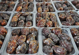 صادرات سالیانه بیش از 10هزار تن خرما