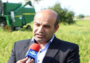 توزيع 500 تن كود شيميايی يارانه دار بين كشاورزان گلوگاهی