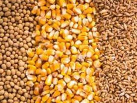 ساماندهی فروشگاه های نهاده های کشاورزی در کهنوج