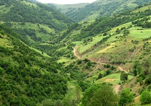 پرونده تخریب جنگل‌های "عثمانوند" به مراجع قضایی رفته است
