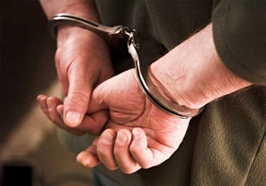 کشف بیش از 20 فقره سرقت در استان