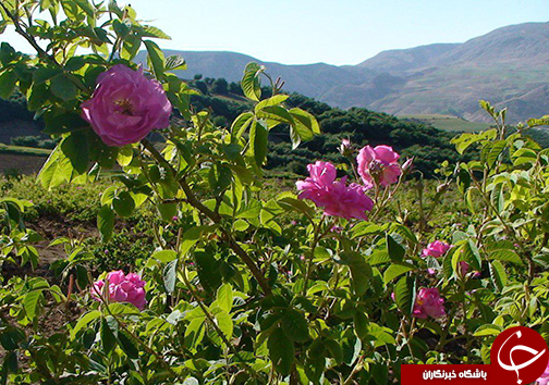 وامنان روستایی کوچک با قدمهای بزرگ +تصاویر