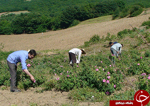 وامنان روستایی کوچک با قدمهای بزرگ +تصاویر