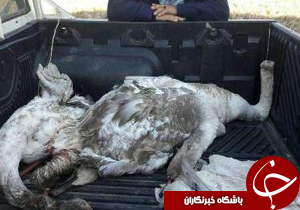 نگاهی گذرا به مهمترین رویدادهای 23 خرداد در مازندران