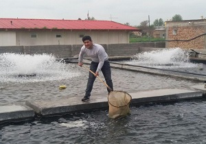دهیاران طرح درآمدزایی در روستاهای خود ایجاد کنند