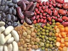 اختصاص 36 هزار هکتار از اراضی زراعی استان زنجان به کشت حبوبات