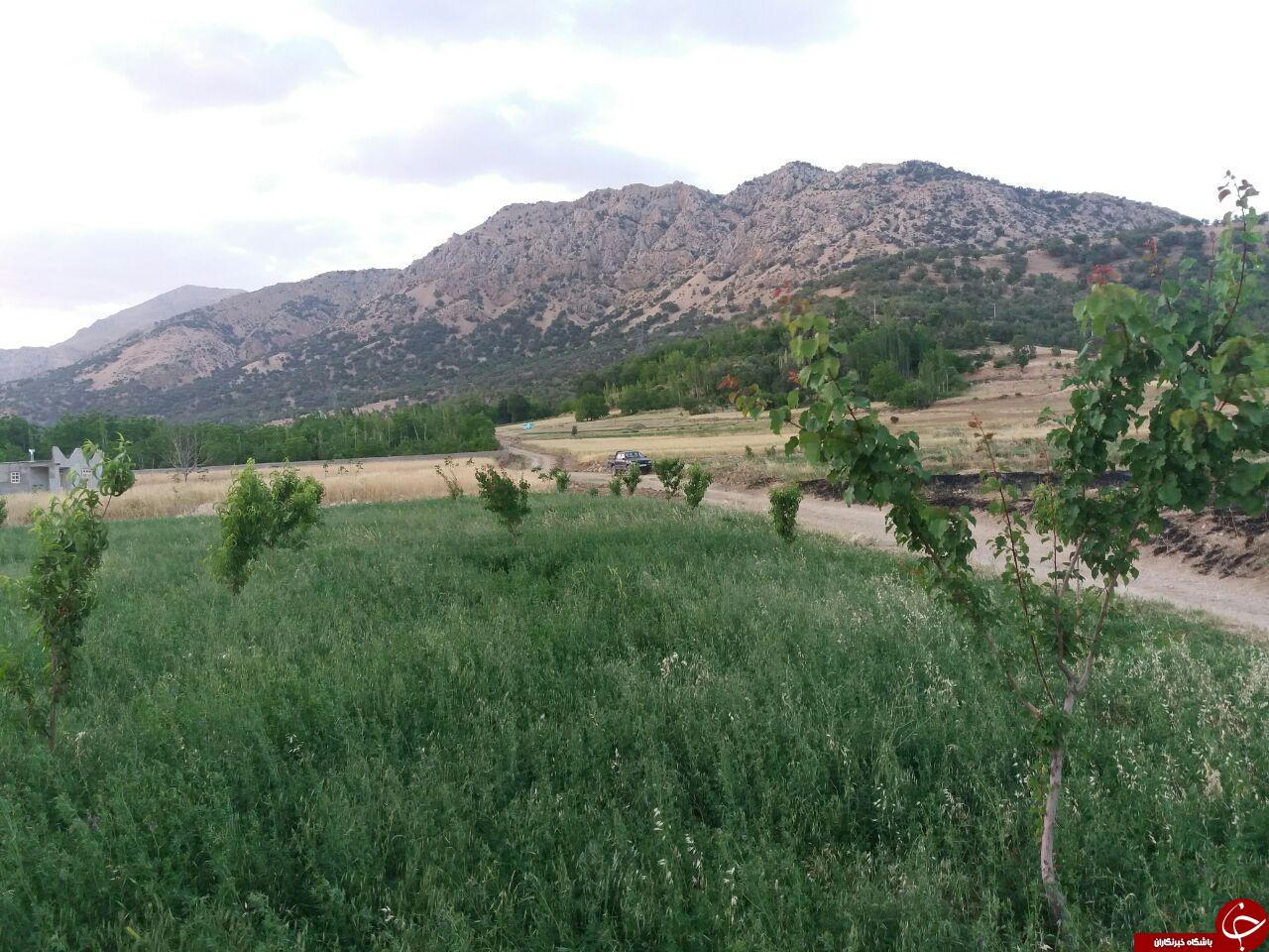 طبیعت زیبای روستای &laquo;گنجه&zwnj;ای&raquo; + تصاویر