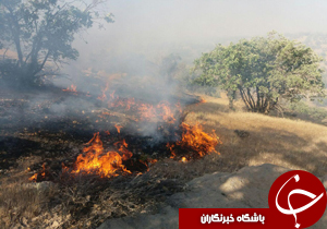 نابودی 300 هکتار از ارتفاعات بوزنجان در آتش
