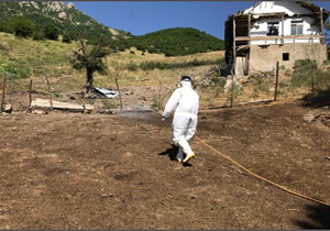 سمپاشی روستای لنگور از توابع بخش مرکزی بابل