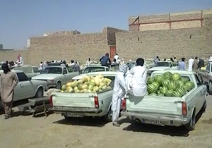 محل نامناسب میدان میوه و تره بار در زابل + فیلم
