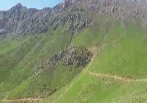 طبیعت زیبا و شگفت‌انگیز در ناو + فیلم
