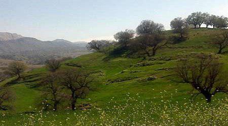 آریوبرزن در کجا زندگی می&zwnj;کرد؟