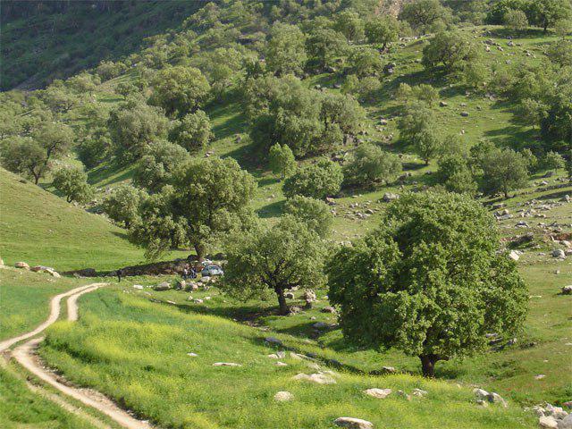 آریوبرزن در کجا زندگی می&zwnj;کرد؟
