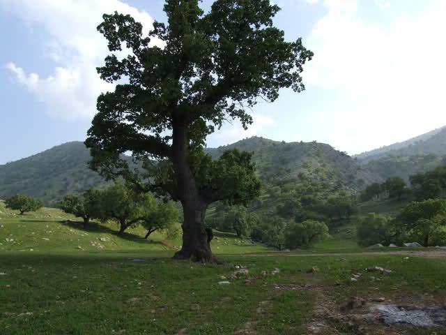 آریوبرزن در کجا زندگی می&zwnj;کرد؟