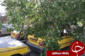 وزش باد شدید،خسارت به دو خودرو و مصدوم شدن یک نفر +عکس