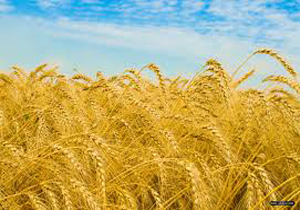 نگاهی گذرا به مهمترین رویدادهای 25 خرداد در مازندران
